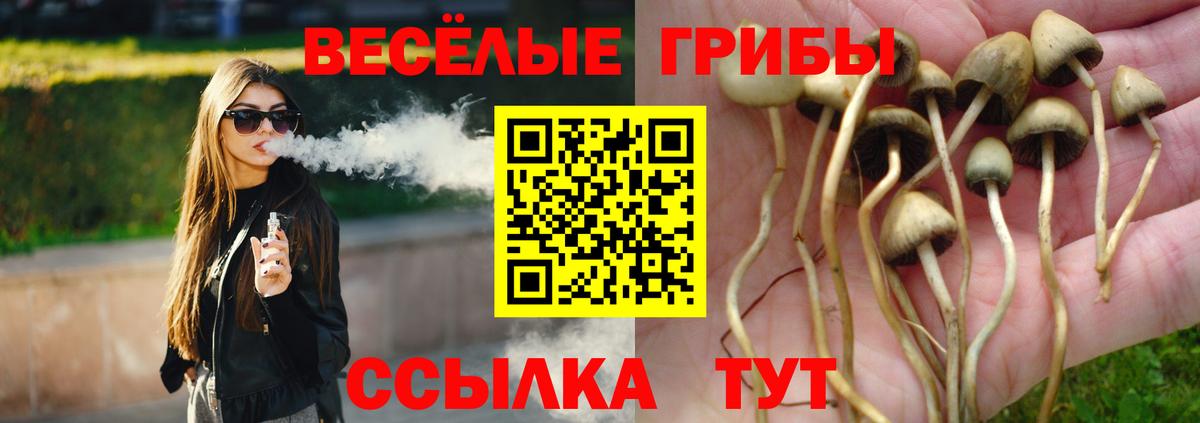 Галлюциногенные грибы мицелий Шали